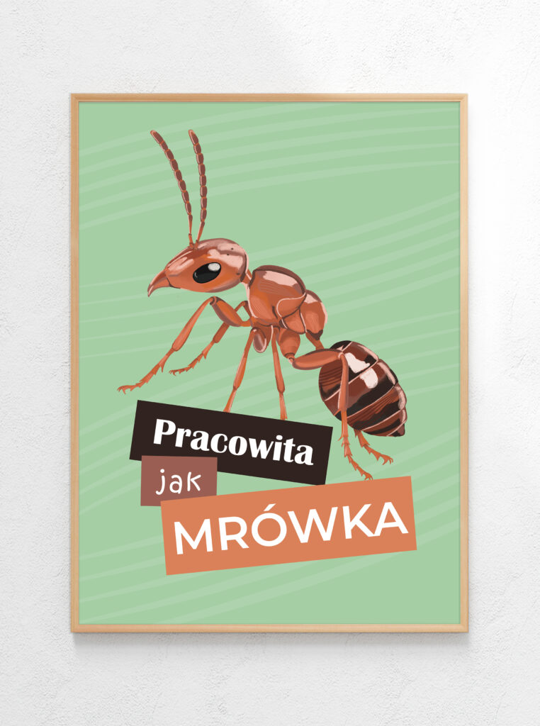 Pracowita jak mrowka